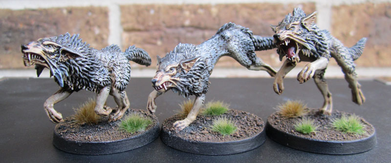 Space Wolves Fenrisian Wolf Pack
