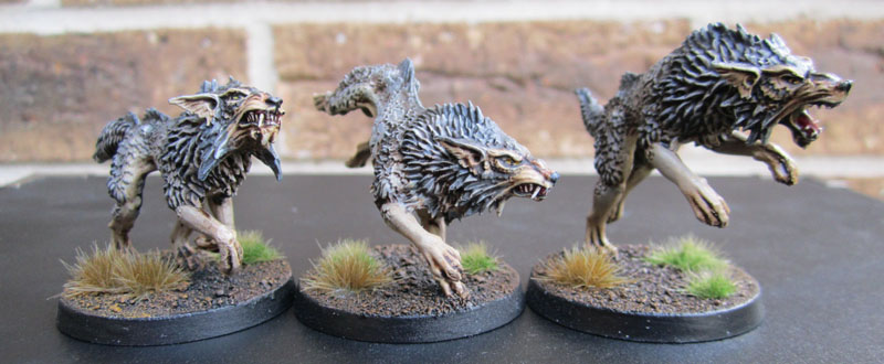 Space Wolves Fenrisian Wolf Pack