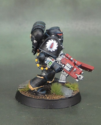 Deathwatch Space Marine, Flesh Tearer