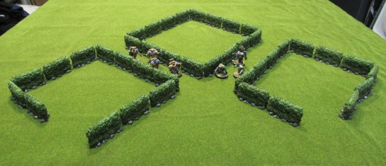 Zombicide: Green Horde - Hedges