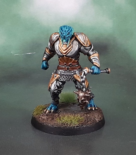 Dungeons and Dragons D&D Nolzur's Male Dragonborn Paladin