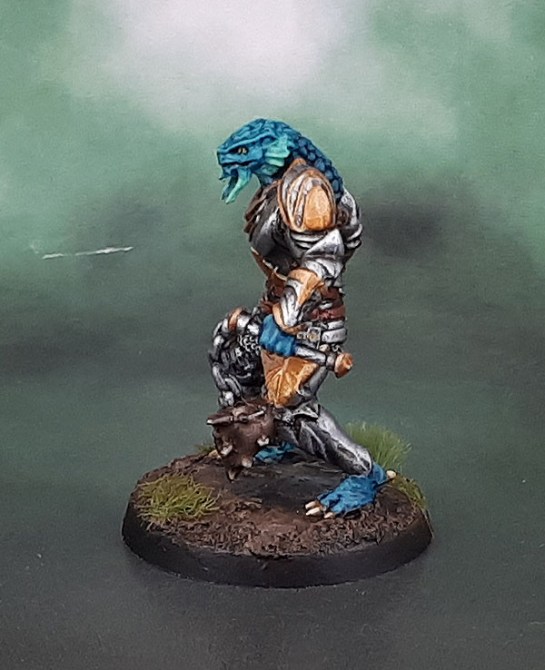 Dungeons and Dragons D&D Nolzur's Male Dragonborn Paladin