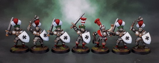 Reiksgard Foot Knights
