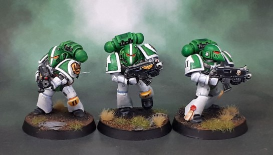 Mentor Legion Tactical Marines, Mentors
