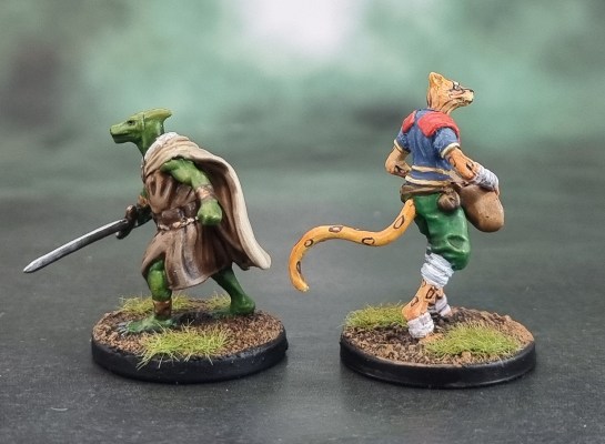 Dungeons and Dragons, D&D Tomb of Annihilation Heroes - Dragonbait, Saurial Paladin & Birdsong, Tabaxi Bard
